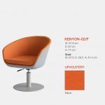 Kenyon lounge chair